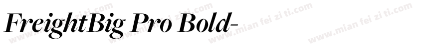 FreightBig Pro Bold字体转换